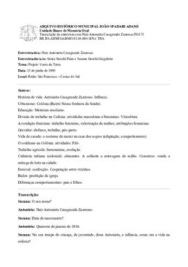 Síntese e transcrição da entrevista com Nair Antonieta Casagrande Zanrosso