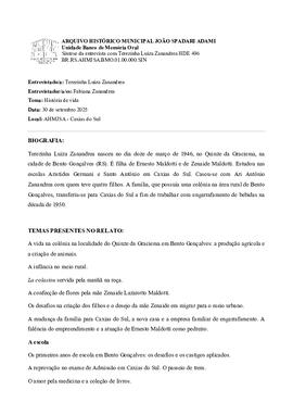 Síntese da entrevista com Terezinha Luiza Zanandrea