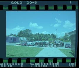 Tira de negativo flexível