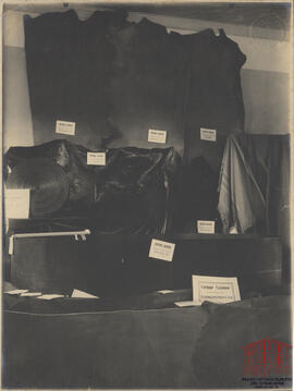 Fotografia 15 - Álbum da Exposição Municipal Comemorativa do Cinquentenário da Colonização Italiana