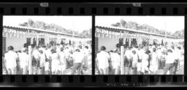 Tira de negativo flexível