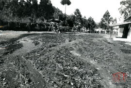 Fotografia 195 - Administração Victorio Trez 1983-1988