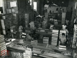 Fotografia 38 - Álbum fotográfico 02 - COMAI