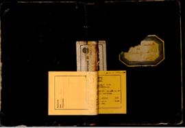 Livro de registro de atos da Intendência Municipal