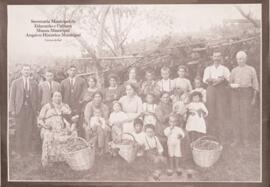 Memória nº 12 - Vitivinicultura