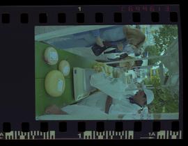 Tira de negativo flexível