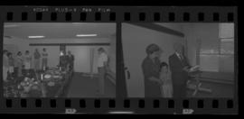 Tira de negativo flexível