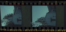 Tira de negativo flexível