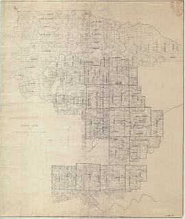 Planta Geral da ex-Colônia Caxias e Núcleo Antônio Prado