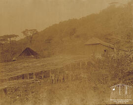 Fotografia - Álbum Recordação das Colônias Conde D’Eu, Dona Isabel, Alfredo Chaves, Antonio Prado e Caxias
