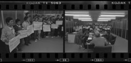 Tira de negativo flexível