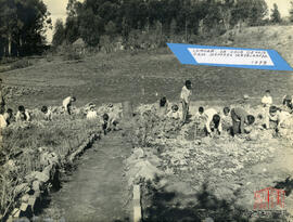 Fotografia 53 - Álbum fotográfico 01 - COMAI