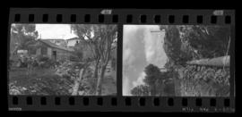 Tira de negativo flexível