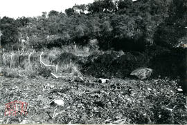 Fotografia 188 - Administração Victorio Trez 1983-1988