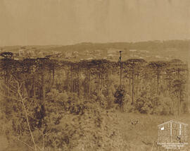 Fotografia - Álbum Recordação das Colônias Conde D’Eu, Dona Isabel, Alfredo Chaves, Antonio Prado e Caxias