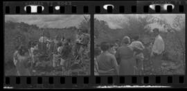 Tira de negativo flexível