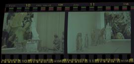 Tira de negativo flexível