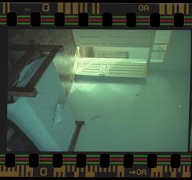 Tira de negativo flexível