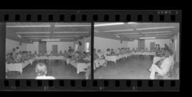 Tira de negativo flexível