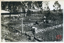 Fotografia 75 - Álbum fotográfico 01 - COMAI