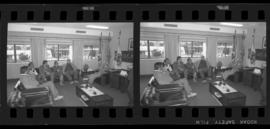 Tira de negativo flexível