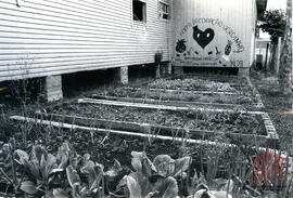 Fotografia 116  - Administração Victorio Trez 1983-1988