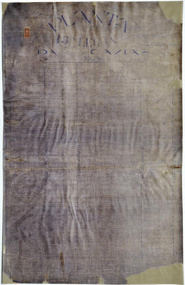 Planta da Décima Quinta Légua da Colônia Caxias